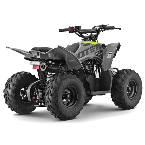 10Ten 110 RXR Quad Bike