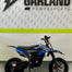 EBOX Wired 550W Electric Bike - Blue