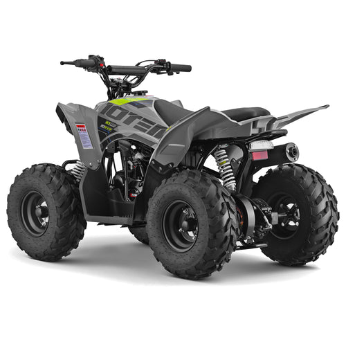 10Ten 110 RXR Quad Bike