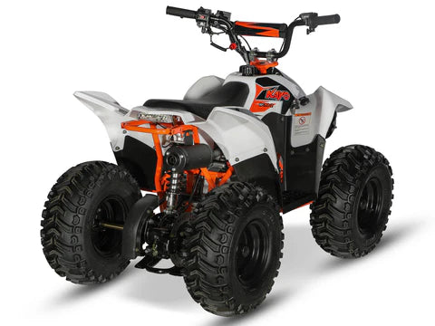 Kayo FOX 70 AY70-2 Kids Petrol Quad Bike