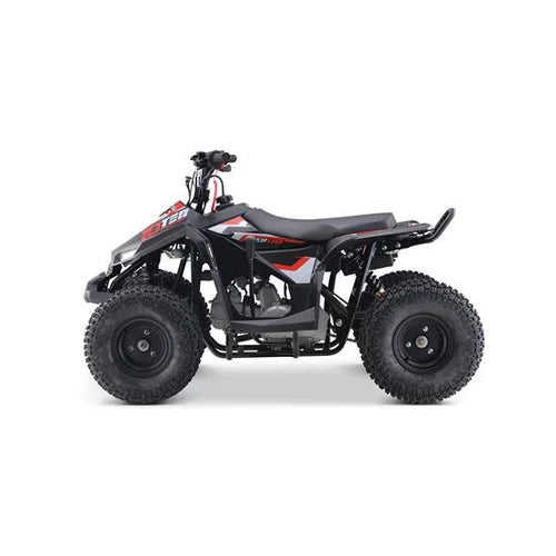 10Ten 110 RXR 110cc Kids Petrol Quad Bike